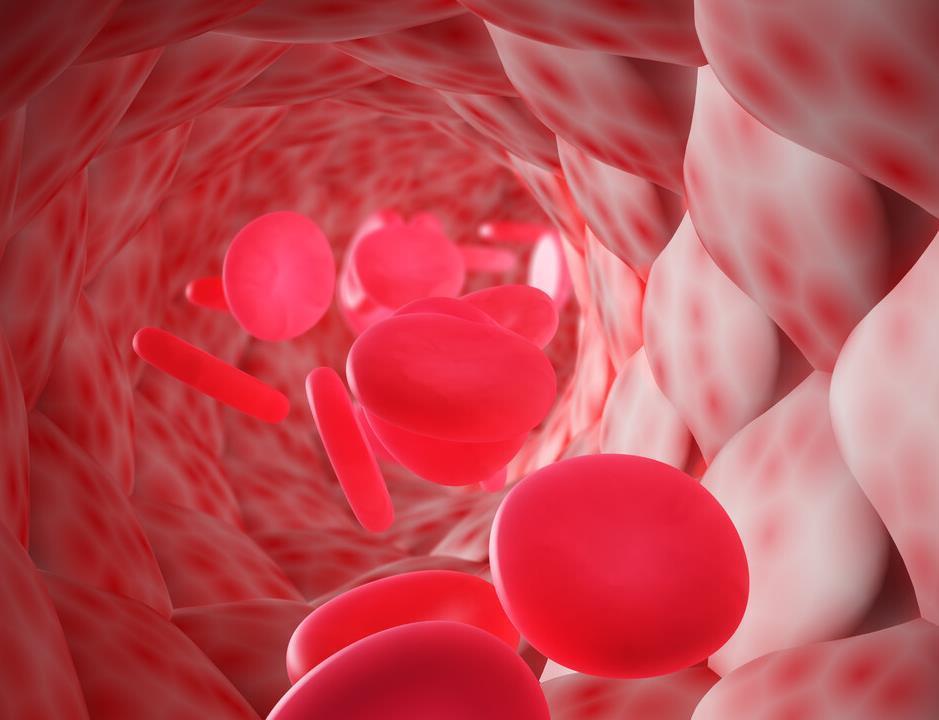 血液粘稠|107岁长寿老人,年轻像60岁,秘诀不是只吃素,而是做3件事