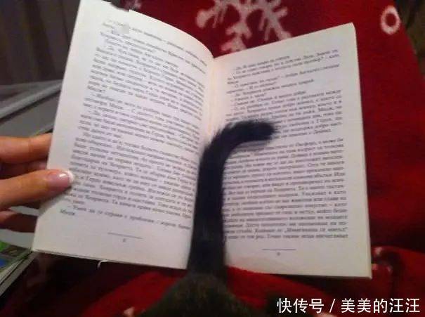 看什么书看书,难道我还没有书好看吗