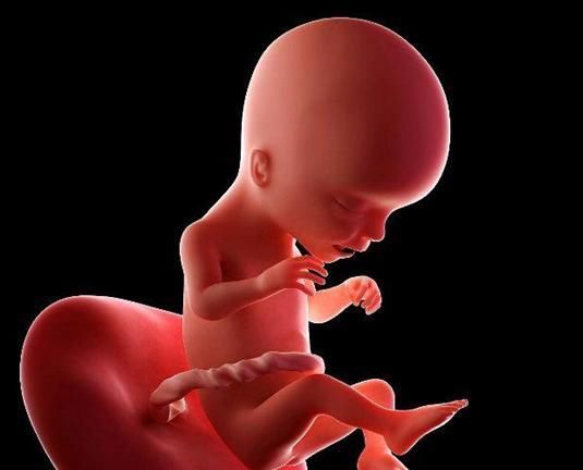 b超|孕检B超四维时胎儿害羞不动，孕妈别着急，8个技巧让孩子活跃配合你