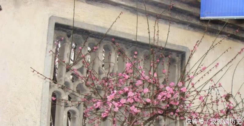 选入课本最多的一首宋诗,其中有一句脍炙人口,但意思却又扭曲了