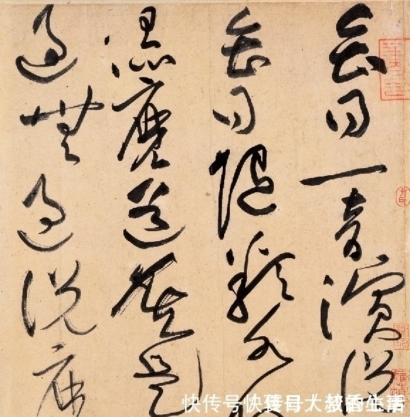 沈周@他独创“荡桨笔法”,字法奇宕,龙搏虎跃,又一个“草圣”级人物