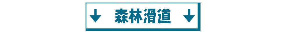 玩转|玻璃漂流、水枪大战、水上闯关..一票在手玩转龙湾潭森林浪浪节