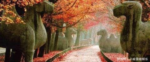 日夜|千头鹿，每头都挂一个银牌，一万军士日夜守卫，这是一个明朝陵墓