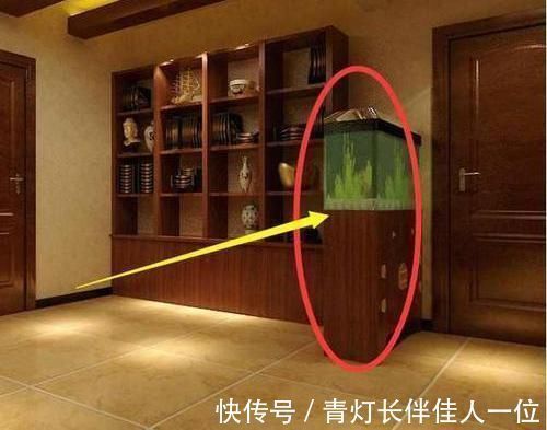实用|越来越多人家客厅都用这种隔断,省钱又实用,后悔我家装早了