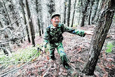 竹溪县|湖北十八里长峡国家级自然保护区护林员胡值朝——“这里的每一棵树我都有感情”（讲述·一辈子一件事）