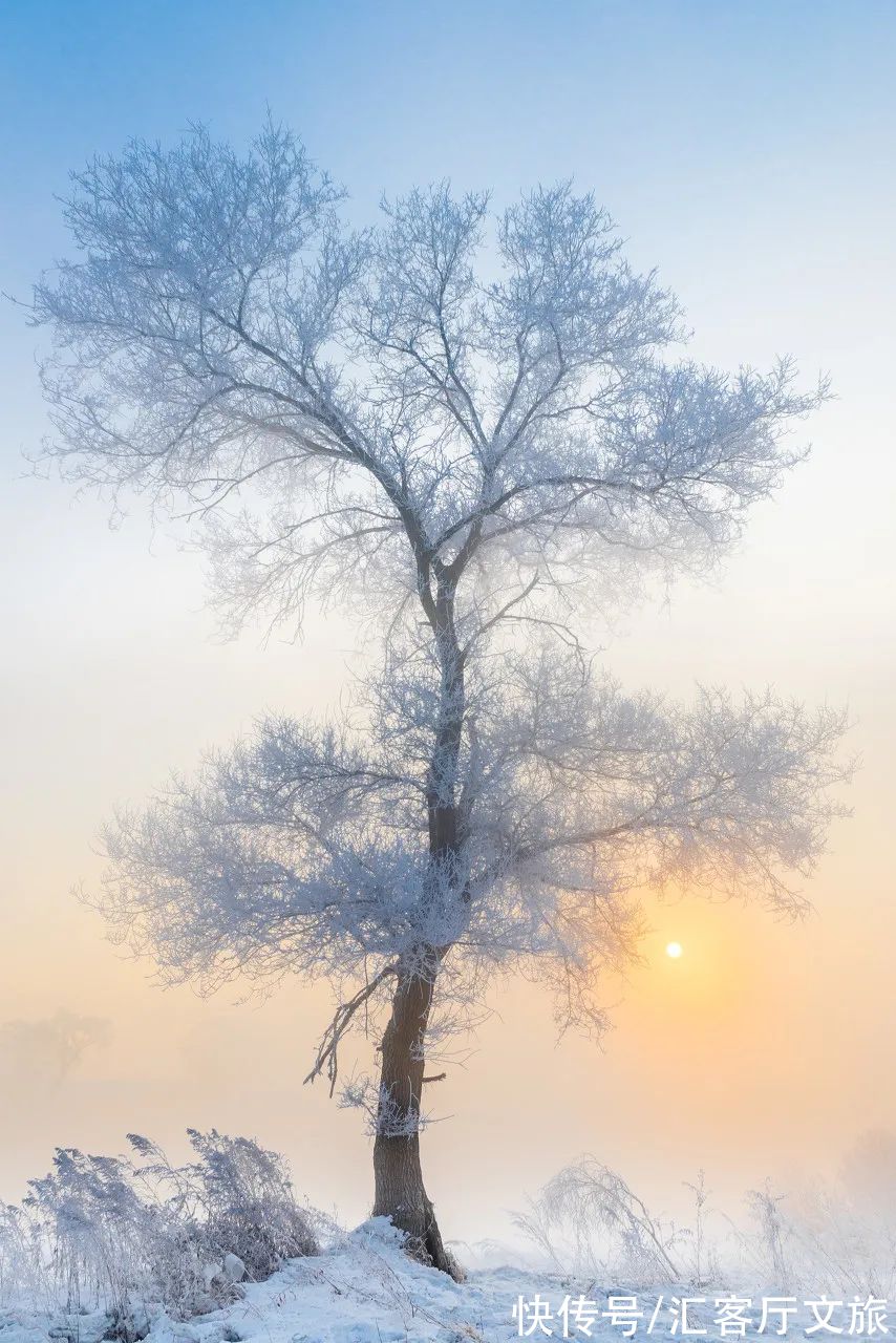 哈尔滨|这才是跟冬天最配的自驾线，沿途雪景美成童话，错过再等一年