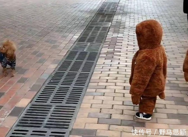 双胞胎|双胞胎遛弯偶遇泰迪,“撞衫”场面太搞笑了,宝宝:好像哪里不对