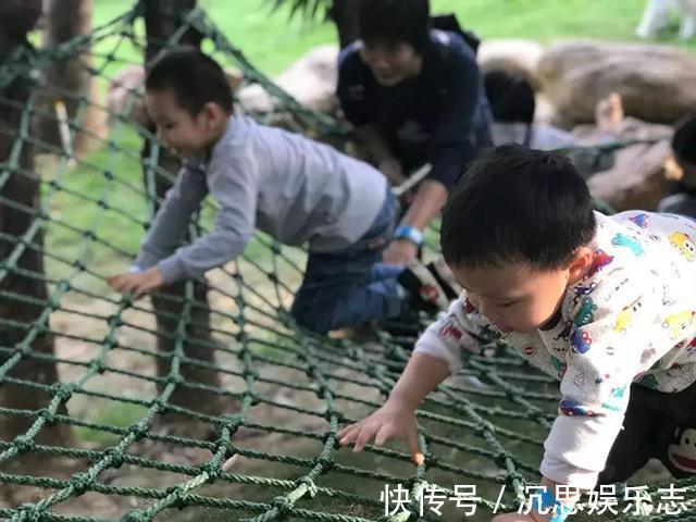 gt|教育男娃还在践行“乖巧教育”快停下,这种方式并不适合他!