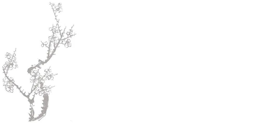 印章#齐白石传人、齐白石书画院院长-汤发周分享:见证齐白石与朱屺瞻友谊的一本书是什么?