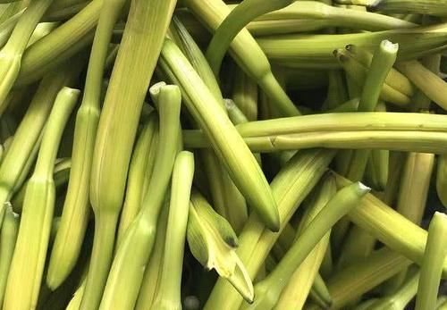 改善|40岁女性要推荐常吃3种食物,营养丰富、改善体质,好处多多!