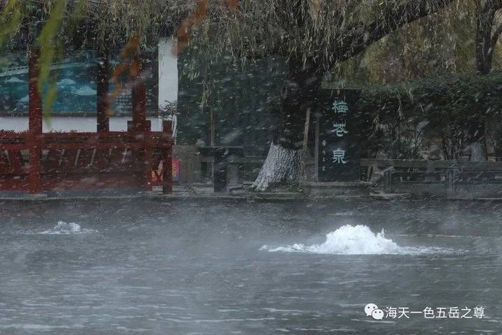 百脉泉|雪泉共舞，百脉氤氲：泉城第一场雪，百脉泉飞花穿庭，盛雪芳华