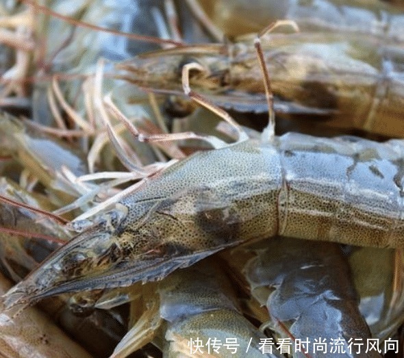 买虾时,遇到这3种,白送也别买,没营养!为了健康,不能贪便宜