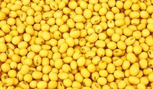 蜂蜜|女性爱美,多吃4种食物,比“明星”打玻尿酸强,皮肤水嫩更年轻