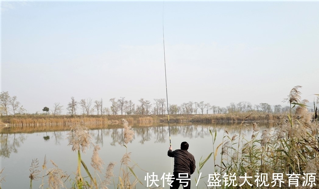 定海神针|钓鱼浮漂一直没信号，不是水里没鱼，而是有些细节没做好