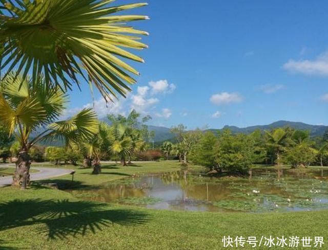 云南这个城市，是国内唯一的热带雨林，拥有丰厚的旅游资源