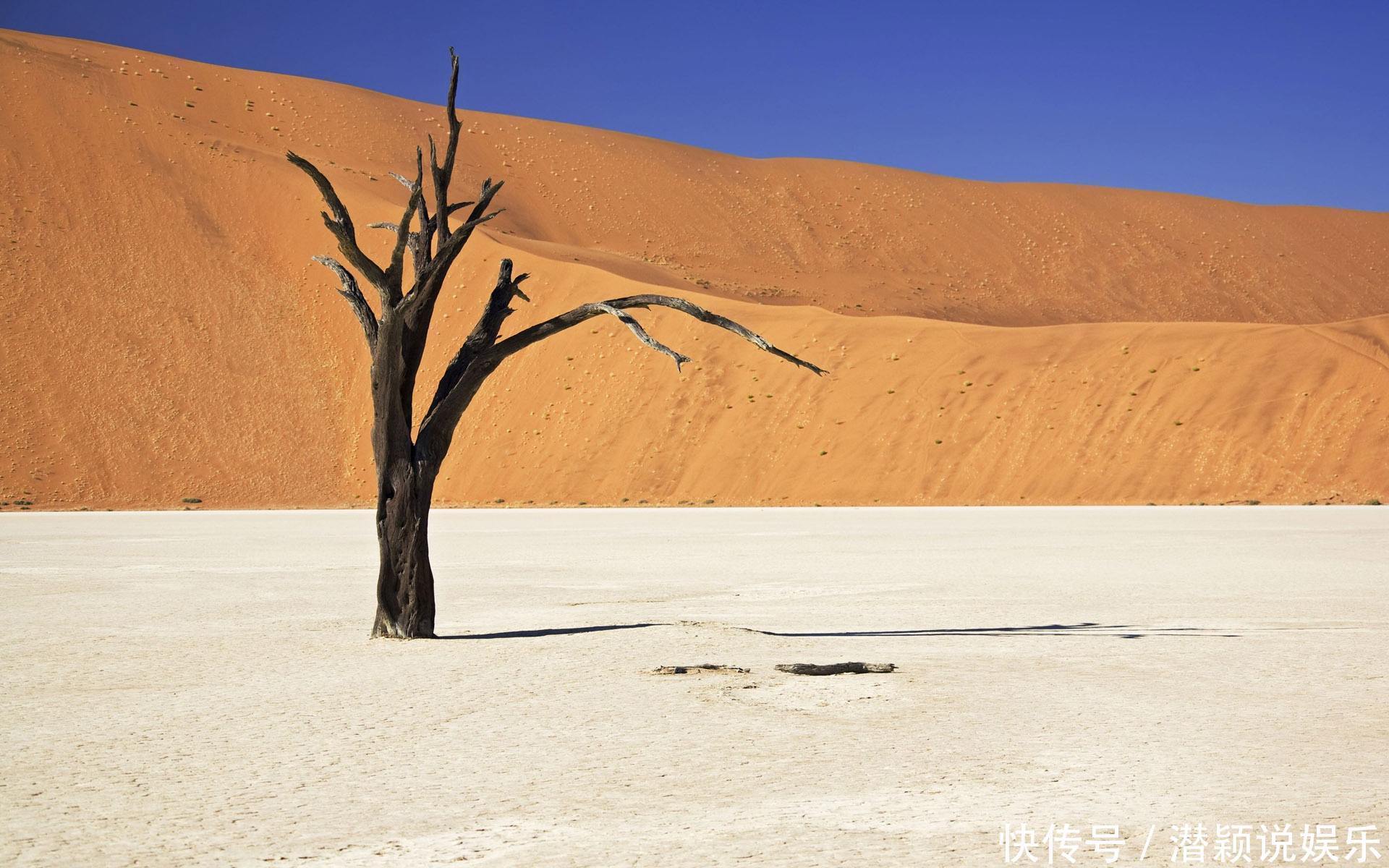海洋 陆地和海洋是三七分,倘若将其比例互换,结果会如何