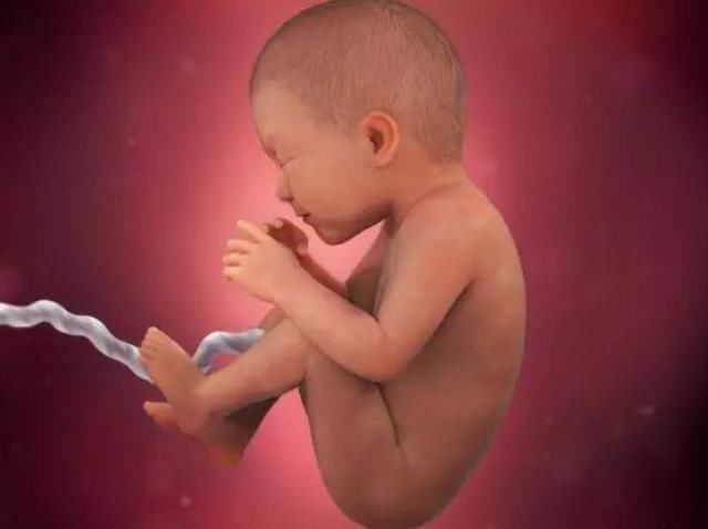 小家伙|胎宝出生“倒计时”一个月，身体有哪些变化？看过觉得他好努力