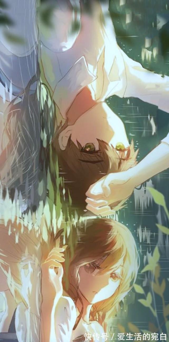 第九百七十四期精选优质壁纸