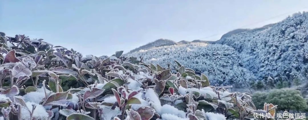 雪后初晴，与阳光相拥，武陵山的雪颜值巅峰！