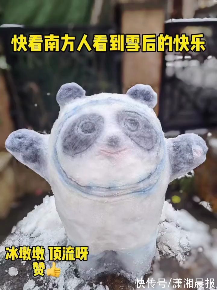 打雪仗|北方人：想不到我也有在朋友圈看南方下雪的一天