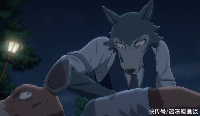 Beastars：雷格西寻找真凶，路易成狮王