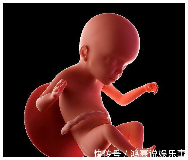 生长发育|刚怀孕就要吃鹅蛋?其实这个月吃最好,别搞错了