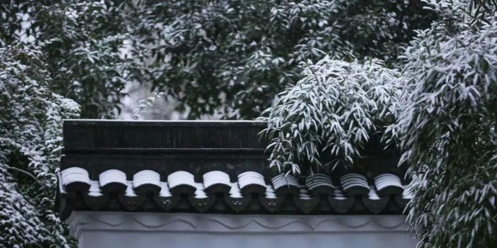  白头|大雪┃岁月可回首，深情共白头