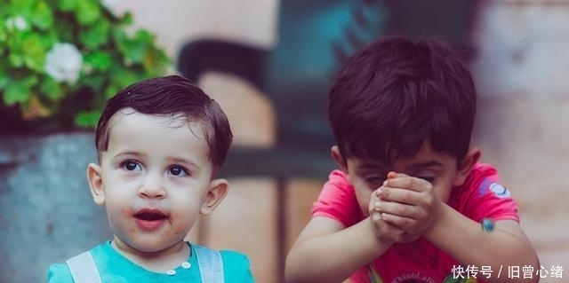 发育|哈佛心理学教授:大脑发育高峰期只有三个,为了孩子至少抓住一次