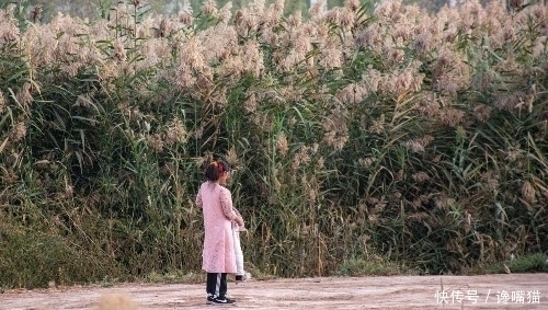 十八岁的姑娘父母早故，孤身一人住芦苇荡十年，不吃“嗟来之食”