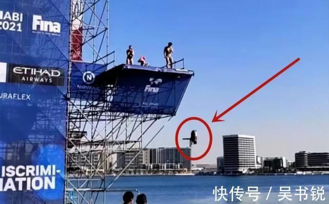 海底生物|全红婵年度收官战!露天跳海+初合作奥运五金王,14岁获国际荣誉