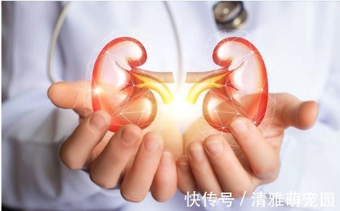 吃降壓藥|高血壓就得吃降壓藥？醫生辟謠：這4種高血壓不用吃降壓藥