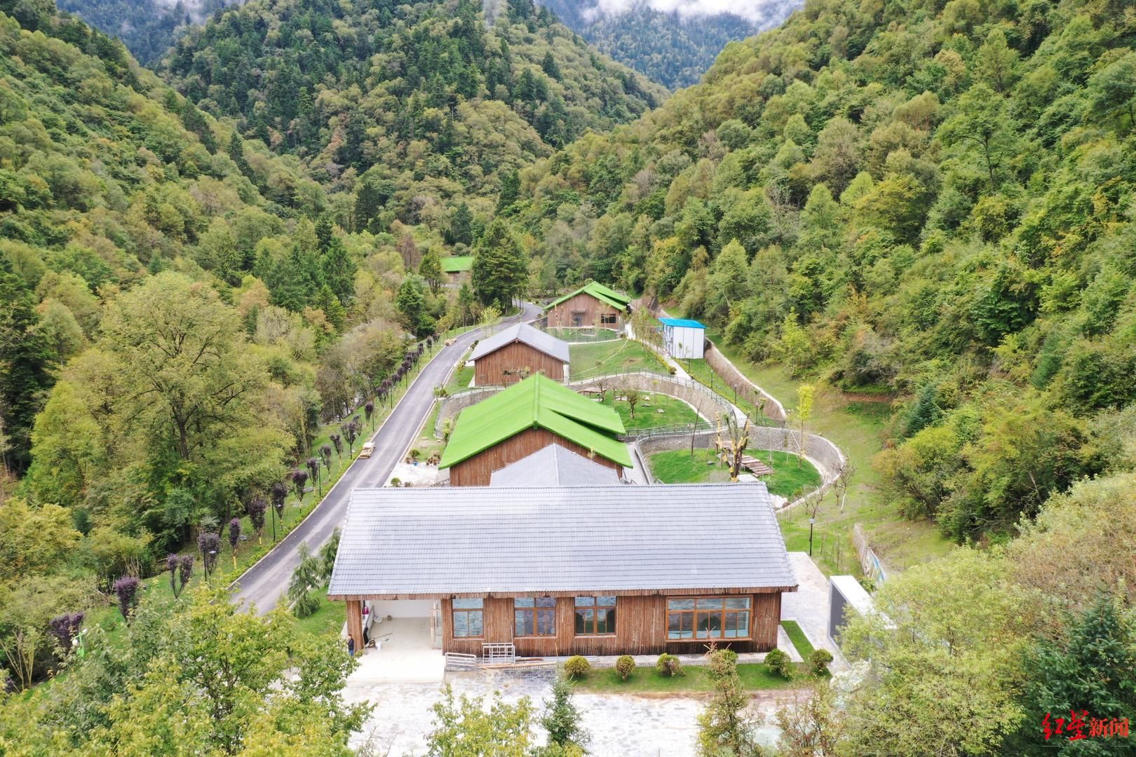 大熊猫|走进九寨新12景｜深山秘境甲勿海 大熊猫“民宿”住着4只可爱的滚滚