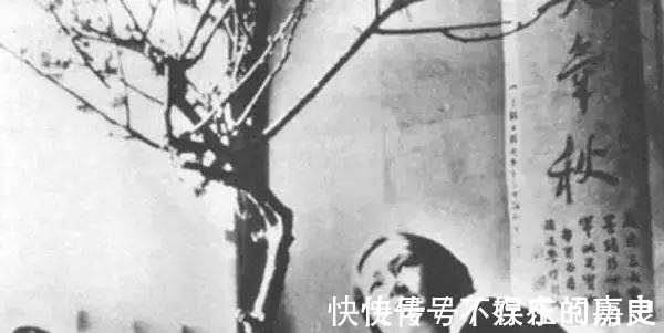 钱钟书#林徽因的“绿茶”钱钟书先生用了几个字,将她的“浪”描述到极致