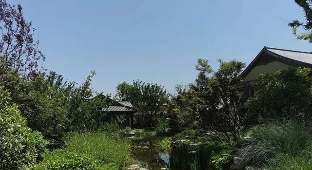 谁家|请看今日之城中,竟是谁家之天下