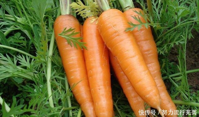  特爱|做馅饼时，别再老一套做法了，试试此做法，薄皮大馅，家人特爱吃