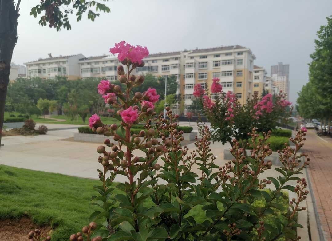 曾国藩:大多数学问来自于生活,应在孝悌上用些功夫