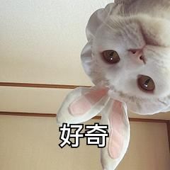 纪念币|“5G纪念币”来了！