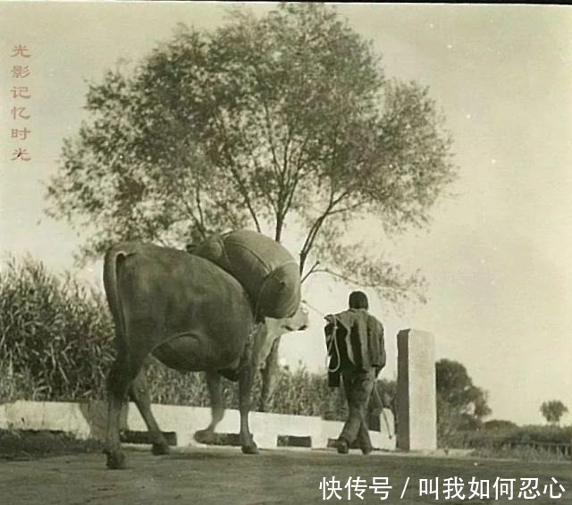 王鸿儒|风雅邢台丨曝光1941年老照片豫让桥的“柳溪春涨”……！