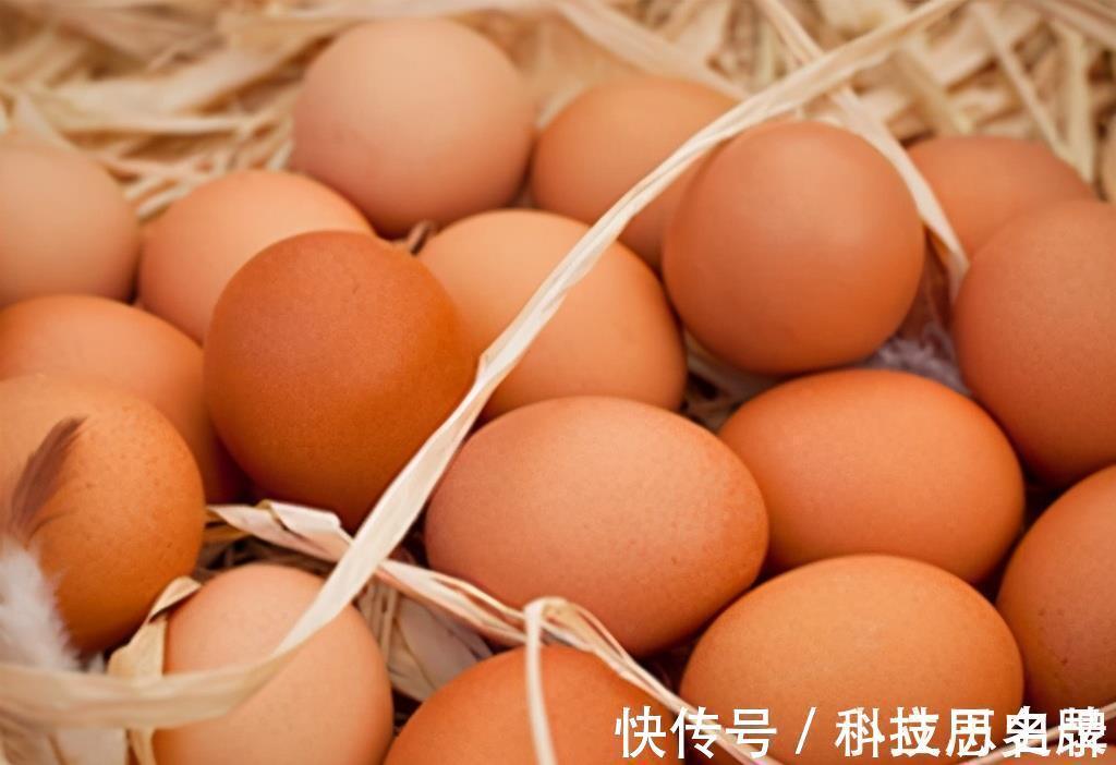 蒸鸡蛋羹，切记别直接加水！教你这5个妙招，蛋羹嫩滑美味无气孔