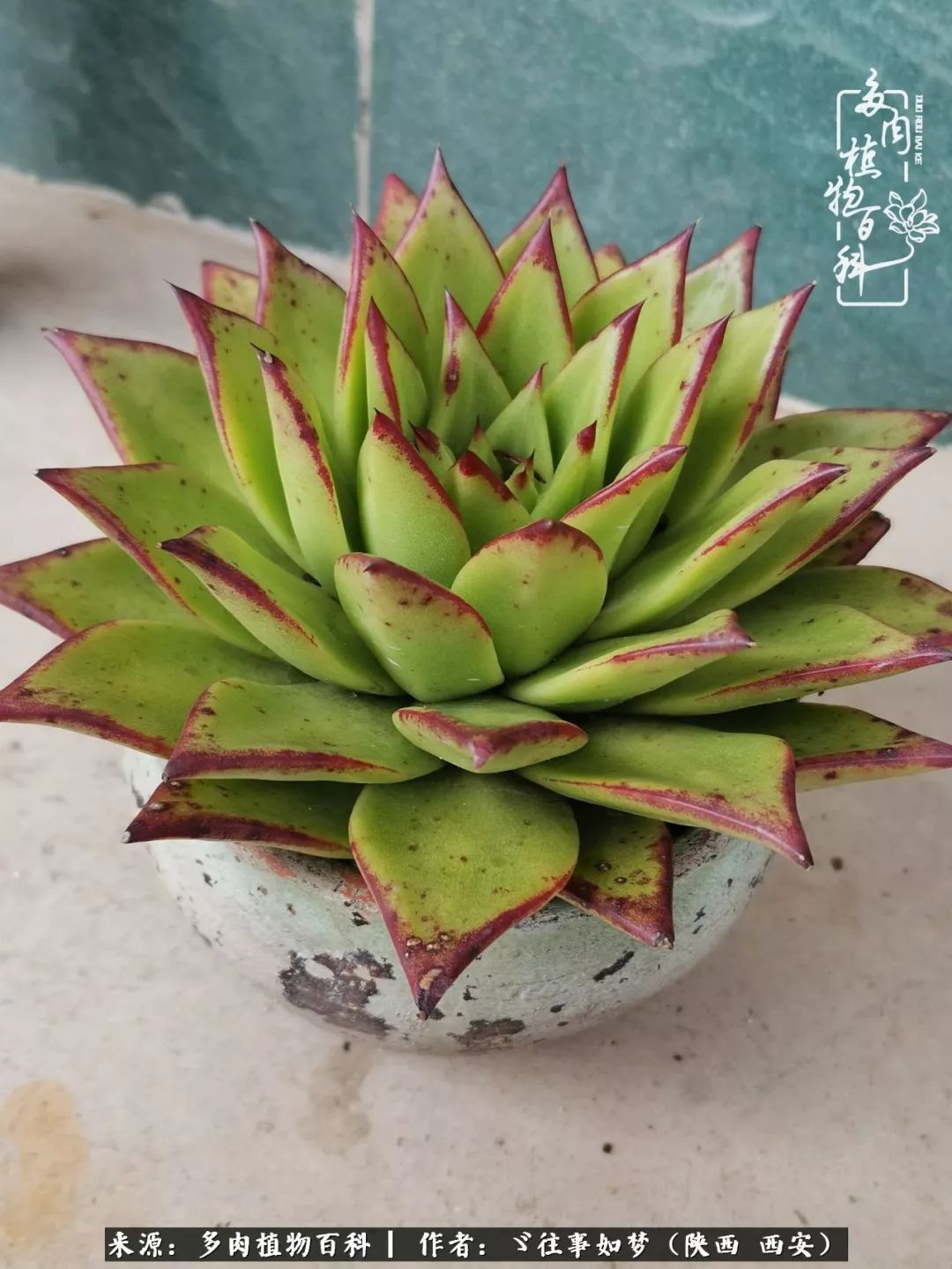 愿你付出甘之如饴，愿你所得归于欢喜！