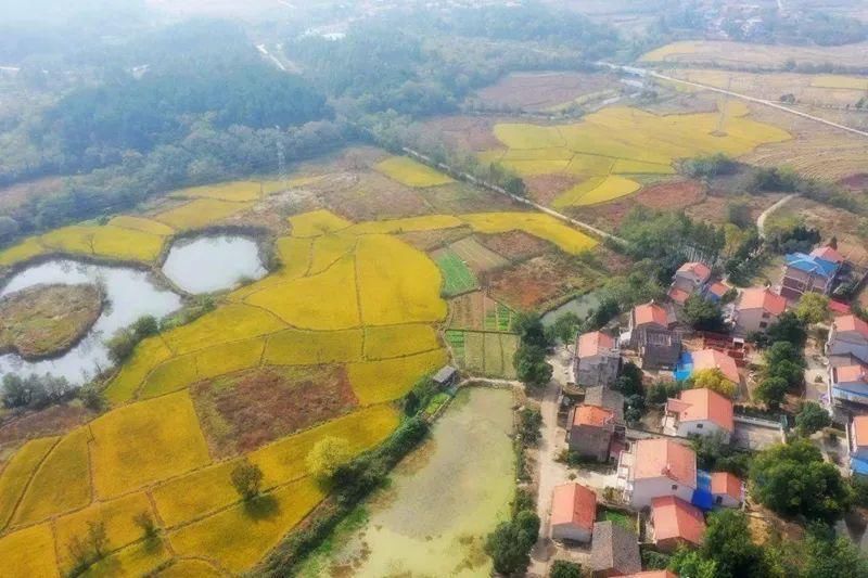 甘露城|钟灵毓秀——甘露山