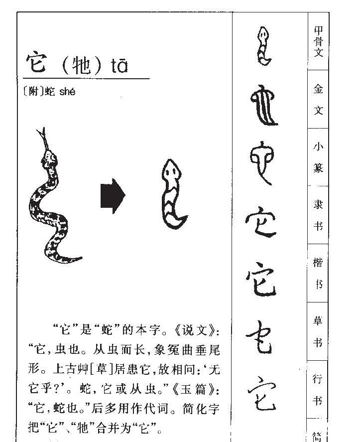 中国女性&北大教授发明一个汉字,遭知识女性痛骂多年,如今却被广泛使用!