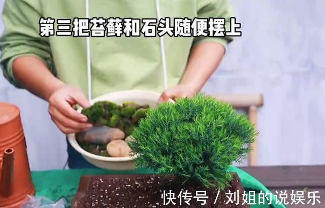 没人要的花,变身百元不换的盆景,简单三步搞定