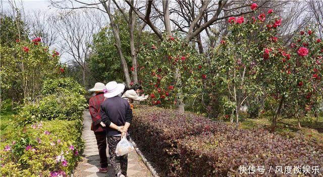 彝海公园|夏日休闲好去处！楚雄这些公园景美还免费