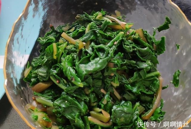 多数人只吃根茎,其实叶子才是宝贝,现在正上市,不懂吃可惜了!