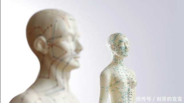 养肝“帮手”被发现,不是菊花,常喝一点,或能给肝洗个澡