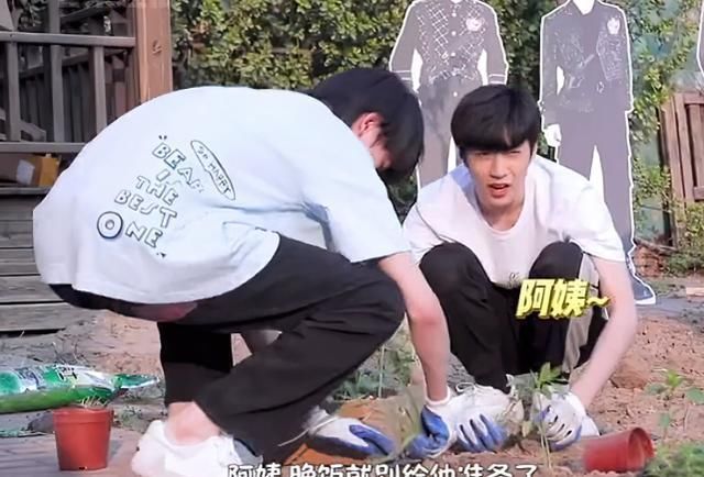 阿姨|宋亞軒悄悄拔阿姨的蔥,劉耀文立馬告狀,說的話讓小宋不敢吃蔥