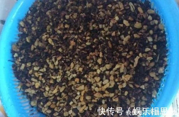 松塔|营养土不用买,2种“垃圾”丢盆里,养啥都旺,不怕板结很透气!