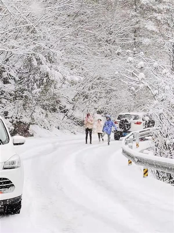 雪场|神农架滑雪季12月4日开启