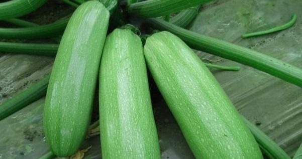 营养物质|长寿老人从不吃的3种“蔬菜”,却是多数人餐桌上的“常客”!